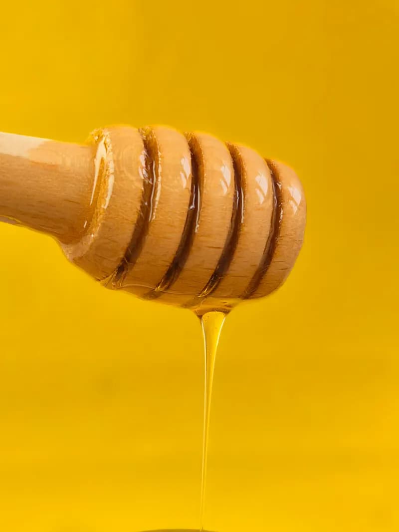Raw Organic Coconut Nectar